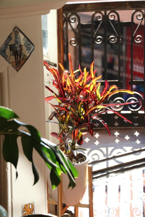 Iturbide500 Hostal ซานหลุยส์โปโตซิ ภายนอก รูปภาพ