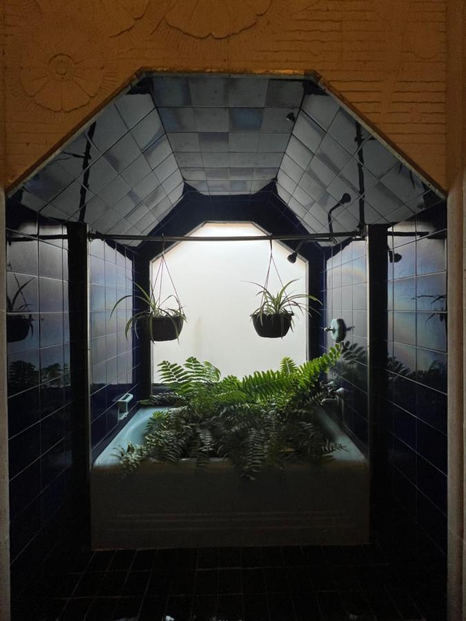 Iturbide500 Hostal ซานหลุยส์โปโตซิ ภายนอก รูปภาพ